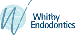 Whitby Endodontics - Dr. Grossman